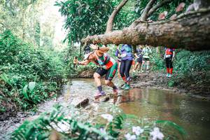 BIB: 
                            <button type="button" onclick="openModal(25517779)" class="btn btn-primary btn-sm float-right btn-popup" data-toggle="modal" data-target=".modal-high-quality">
                        <i class="fas fa-shopping-cart"></i> Add to Cart
                    </button>
                                            <button type="button" onclick="isThisMe(25517779, true)" class="btn btn-success btn-sm float-right btn-popup btn-isme hidden" data-toggle="tooltip" data-placement="bottom" title="นี่คือรูปของคุณใช่ไหม คลิกที่นี่เพื่อเอาเข้าอัลบั้ม">
                        <i class="fas fa-plus"></i> Add to album
                    </button>
                    <button type="button" onclick="isThisMe(25517779, false)" class="btn btn-warning btn-sm float-right btn-popup btn-isnotme hidden">
                        <i class="fas fa-ban"></i> Remove from album
                    </button>